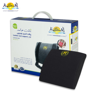 هوشمند _ پشت کمری خودرویی